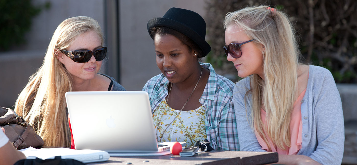 Students studying together